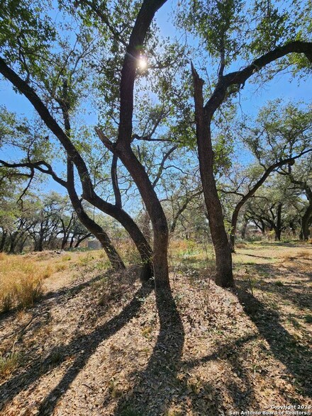 275 Nottingham Dr, Poteet, TX 78065