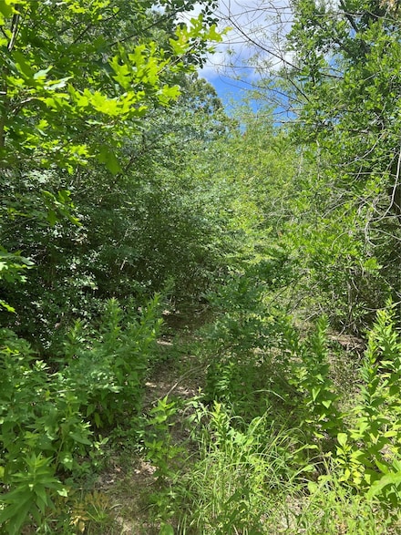 35 Cleveland Ave, Pottsboro, TX 75076