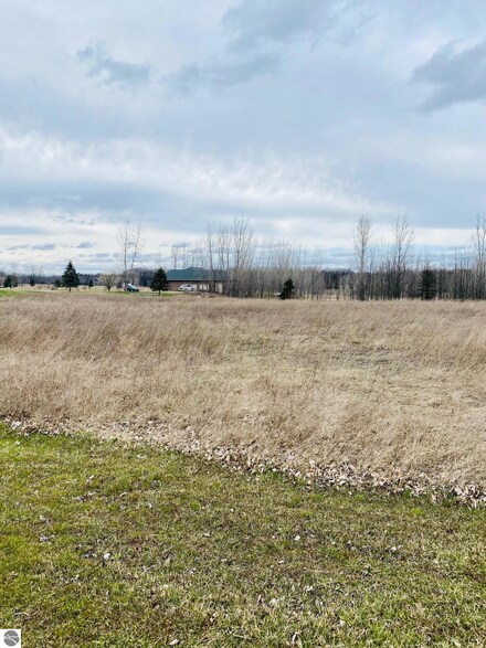 TBD W Pickard Rd, Mount Pleasant, MI 48858