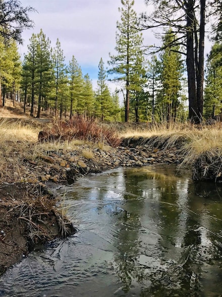 104 Village Trail, Portola, CA 96122