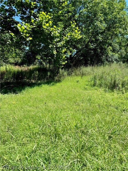 TBD Grand Juniper Rd, van Buren, AR 72956