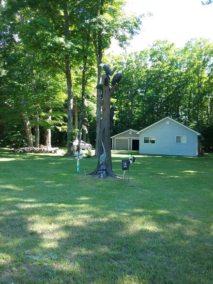 559 W Devereaux Lake Rd, Indian River, MI 49749