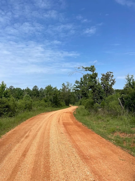 0 Pate Rd, Castleberry, AL 36432