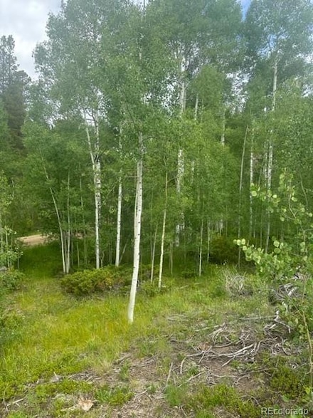 842 Elkdale Dr, Tabernash, CO 80478
