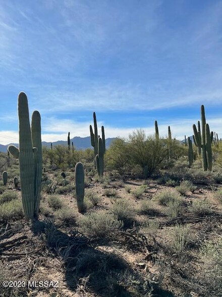 0000C N Sweetwater Place, Tucson, AZ 85745