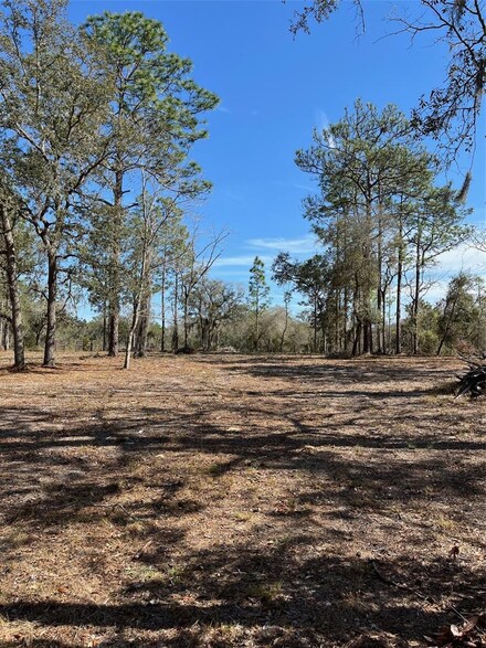 00 NE 6 Th St, Williston, FL 32696