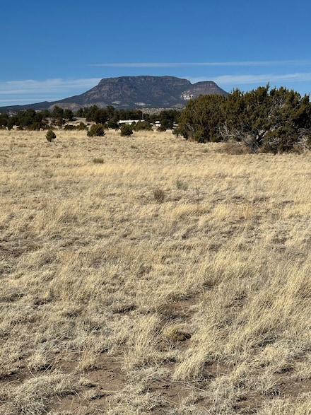 XX Last Frontier Tr Unit 15, Datil, NM 87821