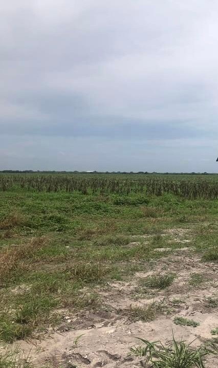 00 Cr 1441, Sinton, TX 78387