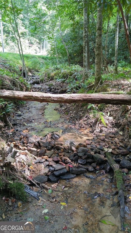 0 Bald Mountain Rd Unit LOT 8 10361713, Dillard, GA 30537