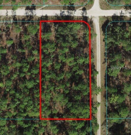 TBD SW 78th Place, Dunnellon, FL 34432