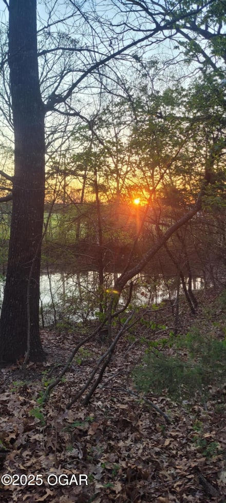 11760 Whispering Pines Rd, Neosho, MO 64850