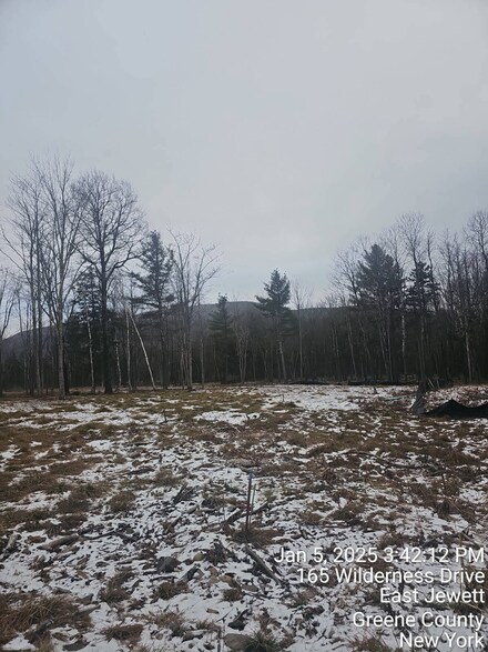 165 Wilderness Dr, Jewett, NY 12424
