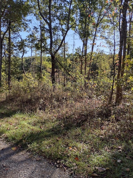 000 Pine Ct, Pikeville, TN 37367