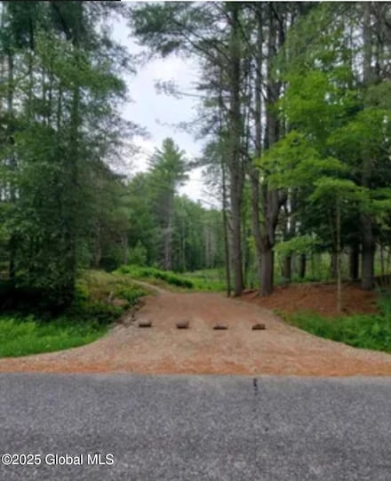 Lot 3.3 Drager Rd, Providence, NY 12074