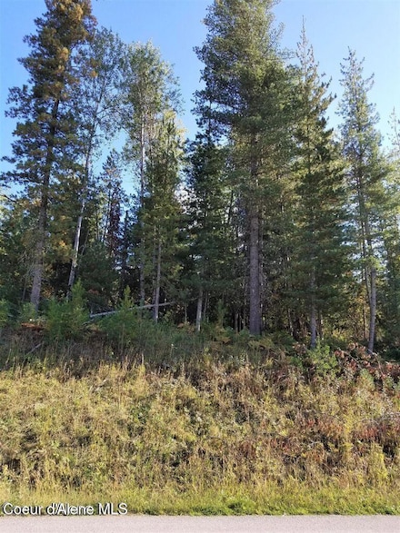 111 Trail Blazer Ct, Pinehurst, ID 83850