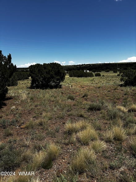 103 Cr 5202, Concho, AZ 85924
