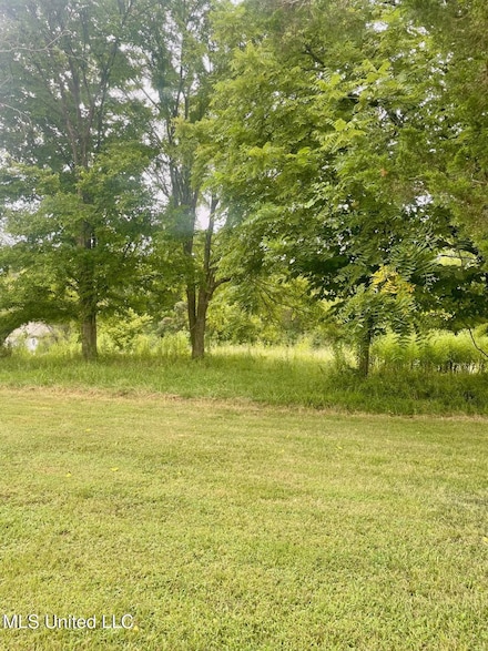 2 Mockingbird Rd, Byhalia, MS 38611