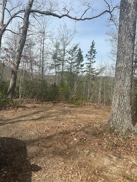 432 Valley View Cir, Wilder, TN 38589