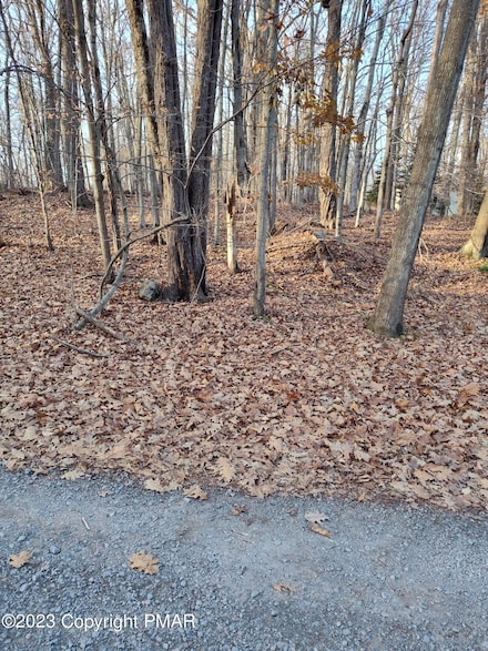 14-21-6 Omaha Trail, Tobyhanna Township, PA 18347