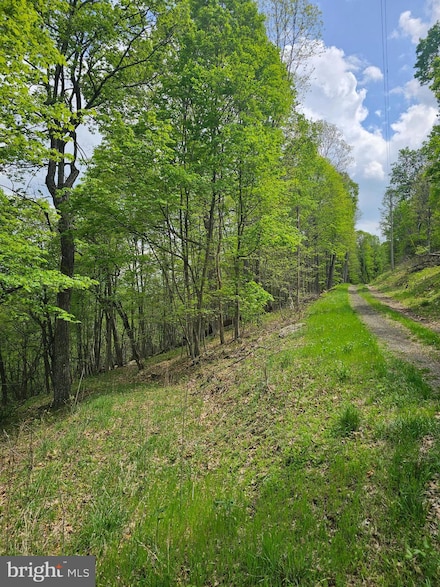0 Highview Rd, Old Fields, WV 26845