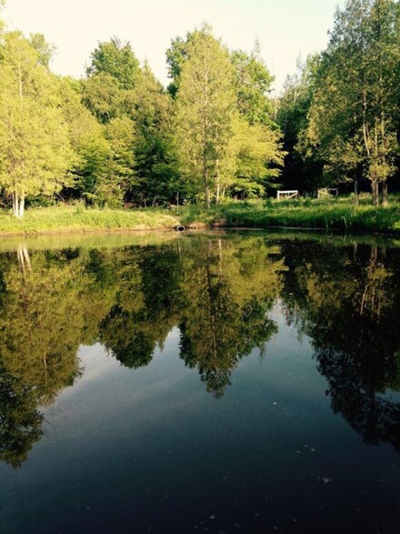 8353 W 12 Mile Rd, Walkerville, MI 49459