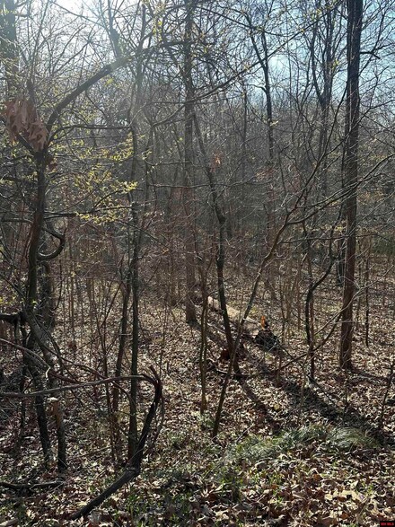 268-00601-000 Altakima Cir, Cherokee Village, AR 72529