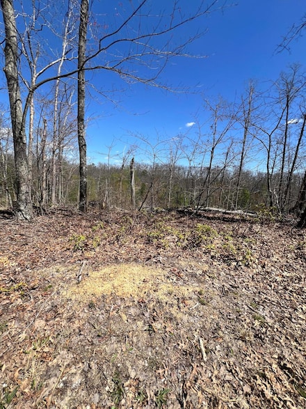 0 Ryan Rd Unit 25007695, Wellington, KY 40387