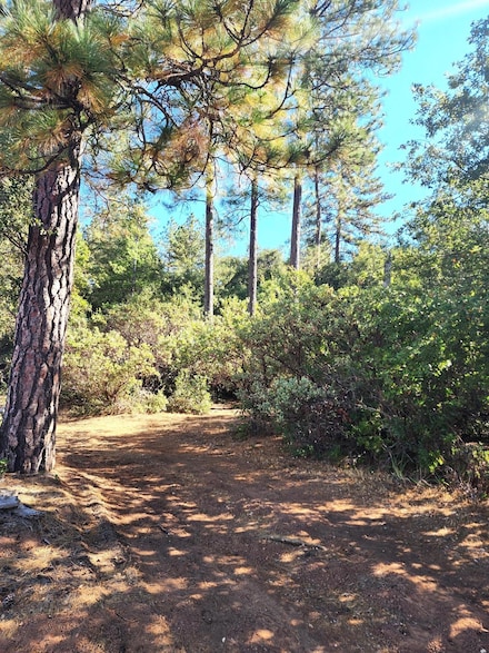 10550 Tabeaud Rd, Pine Grove, CA 95665
