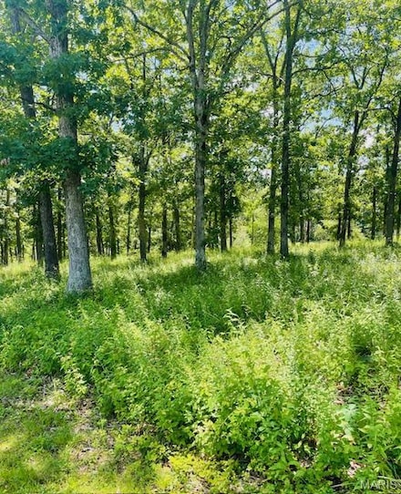 0 Krausetown Rd Unit MIS25043296, Owensville, MO 65066