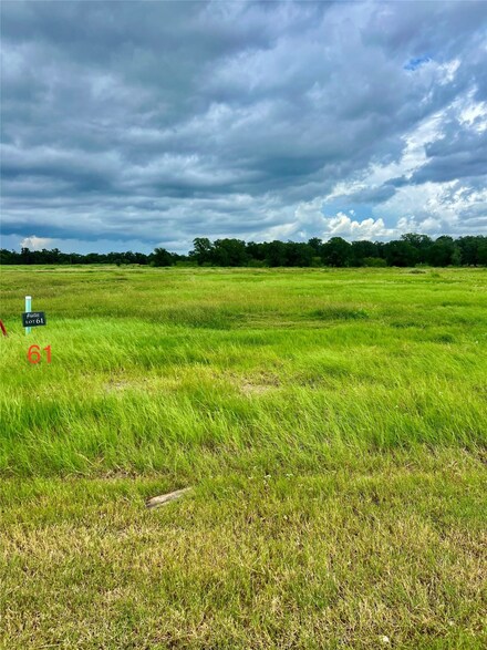 724 Lake Day Dr, Somerville, TX 77879