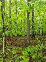 # 60 Lot Signor Ln, Jay, NY 12941