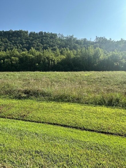 lot 145 River Rapids Way, Del Rio, TN 37727