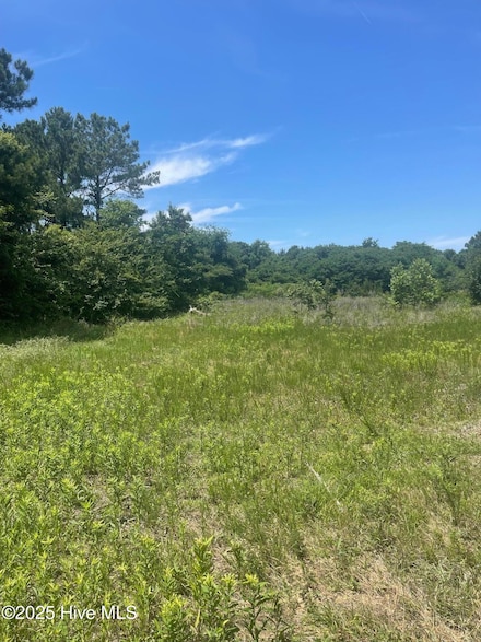 0 Easy St, La Grange, NC 28551