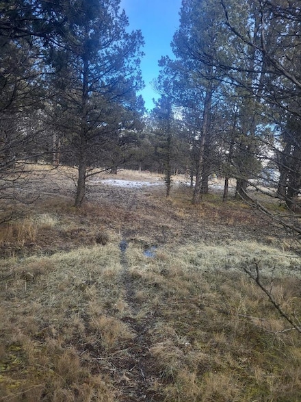 Unit 2 Lot 637 Wildgoose Rd Unit 2, Dorris, CA 96023