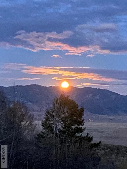 lot 4 Wagon Rd, Swan Valley, ID 83443