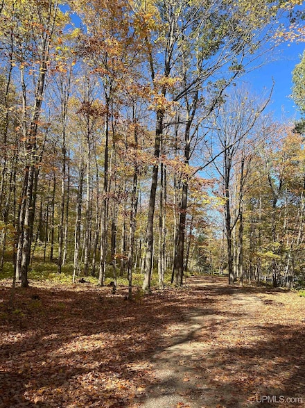 Parcel 7 Old Co Rd 510, Negaunee, MI 49866