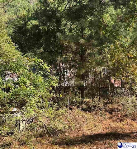 575 Green Bay Dr, Andrews, SC 29510