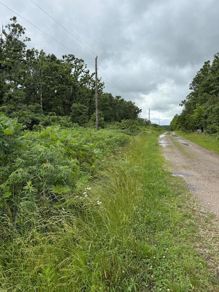 000 Moonshadow Rd, High Prairie Township, MO 65713