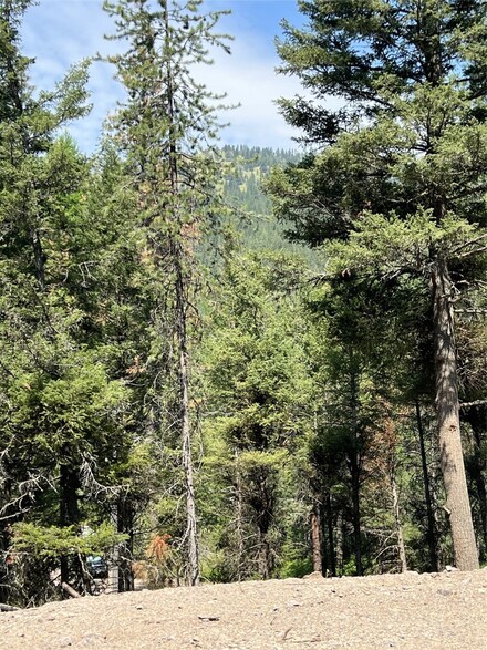 3347 Deer Creek Rd, Missoula, MT 59803