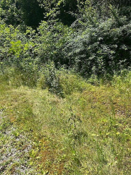 3066 Big Willard Rd, Busy, KY 41723