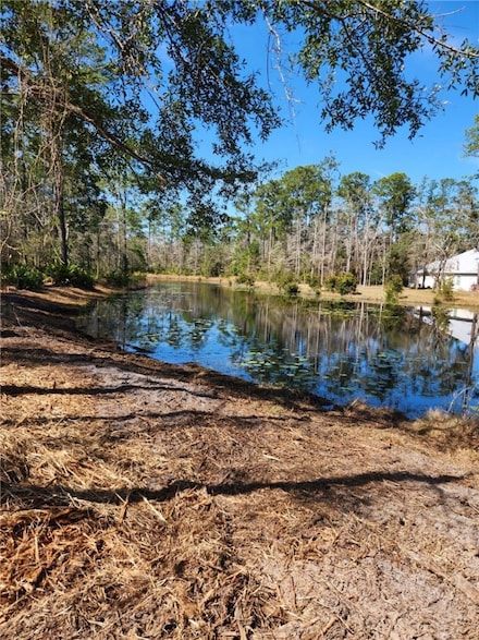 20 Turtle Dove Way, Waverly, GA 31565