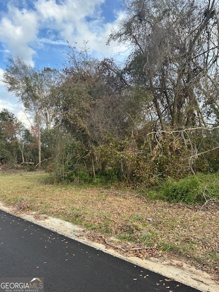 LT 16 Loop Rd, Denton, GA 31532