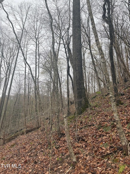 0 Wagoner Town Rd, Saint Charles, VA 24282