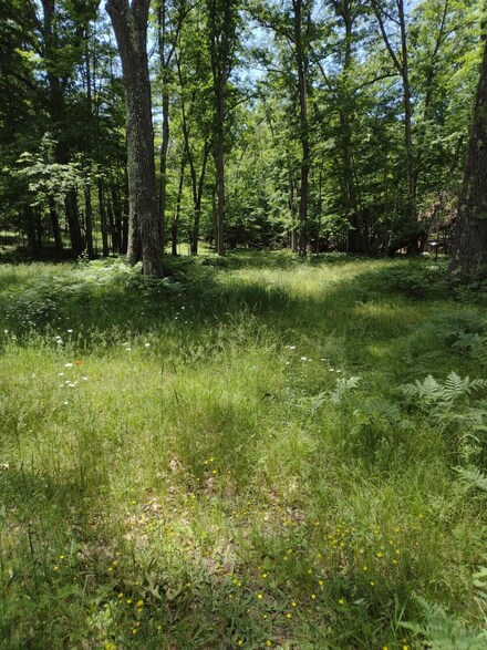 7245 E 84th St, Reed City, MI 49677