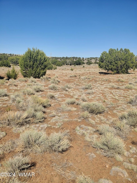 APN 205-54-007, St. Johns, AZ 85936