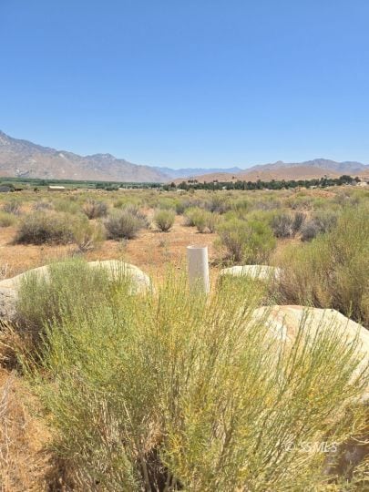 426-390-26 Fly Catcher Dr, Weldon, CA 93283