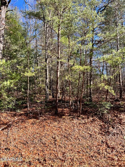 119 Natchez Cir, Crossville, TN 38558