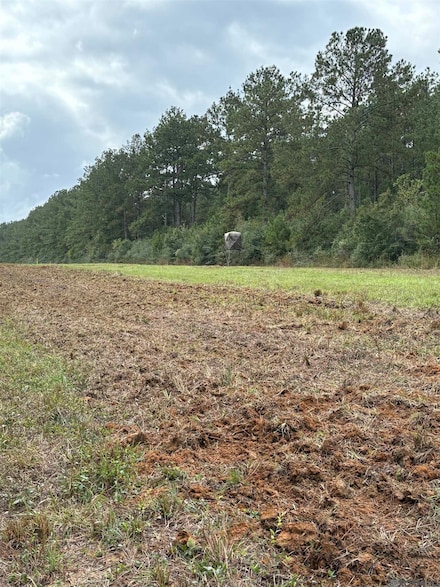 TBD Aunt Margies Rd, Greensburg, LA 70441