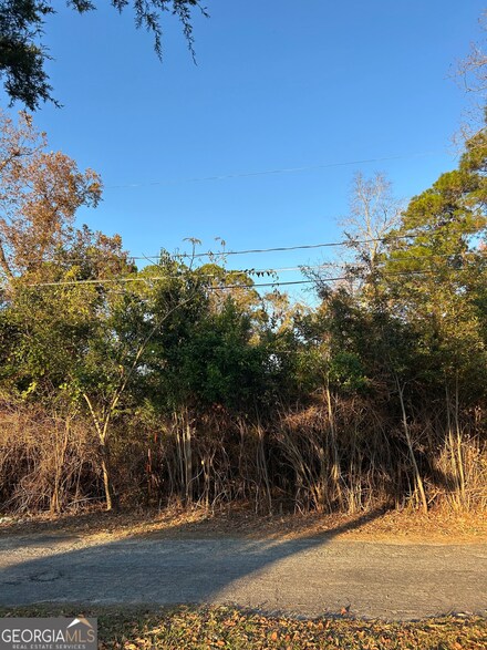 0 Bonaire St Unit 10647239, Mc Rae, GA 31055