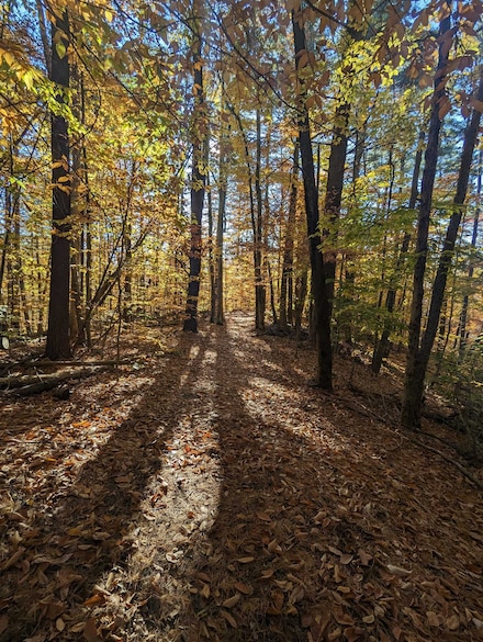 000 Province Rd, Gilmanton, NH 03237